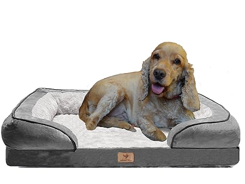 Traumreiter orthopädisches Hundebett für mittelgroße Hunde M Grau I Hundekörbchen Hundekorb Hundekissen Hundehöhle Hundesofa Hunde Bettchen Hundebetten für mittlere Hunde 70x50 cm von Traumreiter