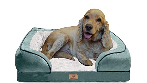 Traumreiter orthopädisches Hundebett für mittelgroße Hunde 70x50 cm (Innenmaß ca. 48x28 cm), Grün, Hundekörbchen Hundekorb Hundekissen Hundehöhle Hundesofa Hunde Bettchen Hundebetten mittlere Hunde von Traumreiter