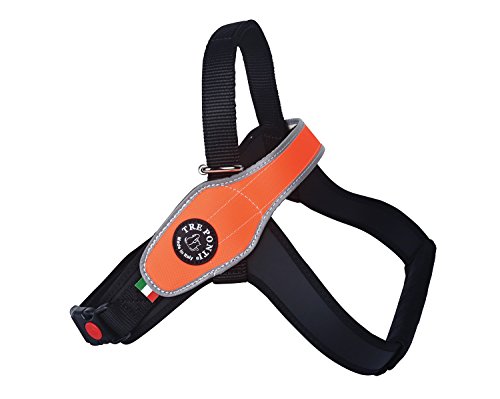 Tre Ponti Doggie Style Store Hundehalsband, Gr. M, Orange von Tre Ponti