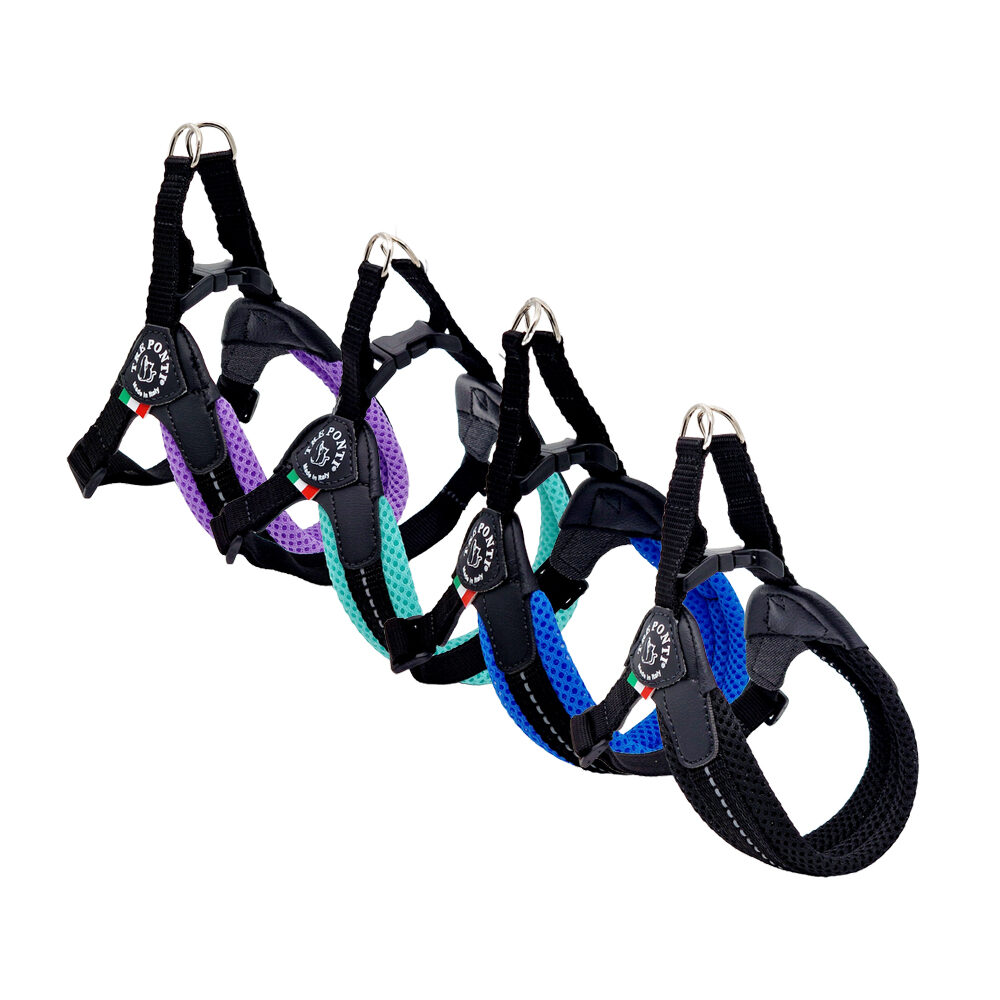 Tre Ponti Fibbia Mesh Verstellbar - Mint - Größe 1,5 Tre Ponti Fibbia Mesh Verstellbar - Mint - Größe 1,5 von Tre Ponti