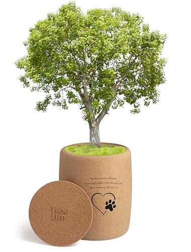 Tree Urn Baumurne, biologisch abbaubare Gedenkurne für Haustierasche, integriert Asche in das Wurzelsystem junger Bäume, Kremationsurne für Asche, fasst Haustierasche bis zu 45 kg (mittel) von Tree Urn