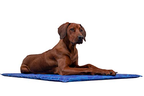 TrendPet Arctic Comfort - 20mm Premium Kühlmatte für Hunde 5 Größen, Extra Dick (110x70cm) von TrendPet