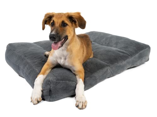 TrendPet Maya Ortho - Orthopädisches Hundebett (100x75cm) von TrendPet