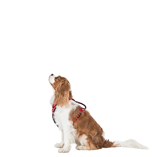 Tanked - PET CAR Safety Harness - POSTBOX RED S/M von Trespaws