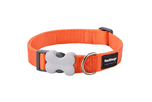 Red Dingo Nylon Hundehalsband, orange, M (DC-ZZ-OR-20) von Red Dingo