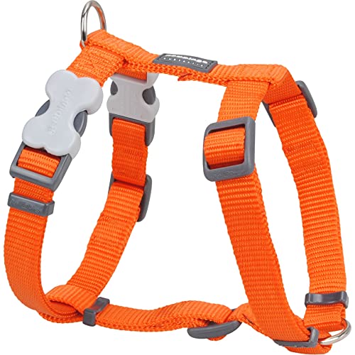 Red Dingo Nylon Hundegeschirr, orange, M (DH-ZZ-OR-20) von Red Dingo