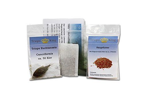 Triops Cancriformis Urzeitkrebse Starter Set Plus mit ca 150 Urzeitkrebs-Eiern / Zysten von Triops King aus Deutschland, Anleitung zur Zucht und Jungtier-Futter und Hauptfutter - Züchte jetzt deine eigenen Urzeitkrebse von Triops King