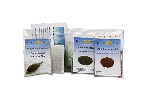 Triops Cancriformis Urzeitkrebse Starter Set Ultra mit ca. 150 Urzeitkrebs-Eiern / Zysten von Triops King aus Deutschland, Anleitung zur Zucht und Jungtier-Futter und viel Futter - Züchte jetzt deine eigenen Urzeitkrebse von Triops King