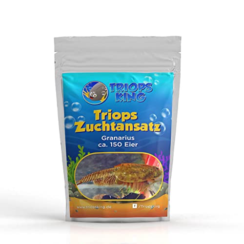 Triops Granarius Zuchtansatz 150 Eier von Triops King