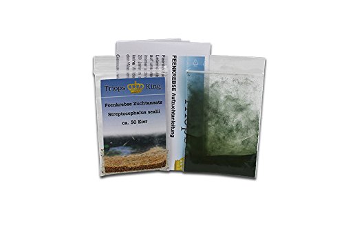 Triops King Feenkrebse Streptocephalus sealii Urzeitkrebse Starter Set 500 Eier Deutsch von Triops King