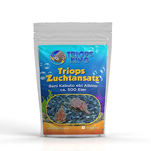 Triops King Triops Beni Kabuto EBI Albino Urzeitkrebse Zuchtansatz mit Urzeitkrebs-Eiern/Zysten Deutschland - Züchte Deine eigenen Urzeitkrebse bei dir zu Hause im Aquarium (500 Eier) von Triops King