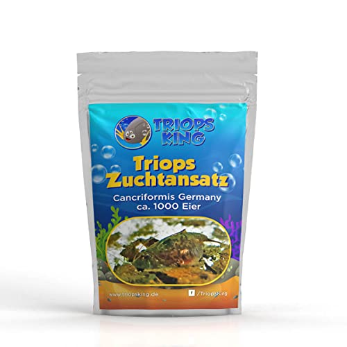 Triops King Triops Cancriformis Germany Zuchtansatz mit ca. 1000 Urzeitkrebs-Eiern/Zysten Deutschland - Züchte Deine eigenen Urzeitkrebse bei dir zu Hause im Aquarium von Triops King