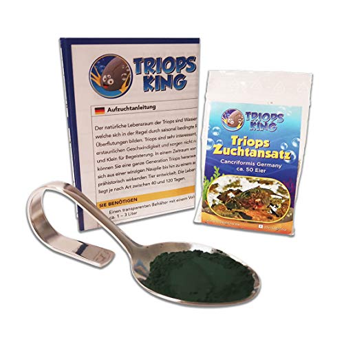 Triops King Triops Cancriformis Mallorca Starter Set mit ca. 50 Urzeitkrebs-Eiern/Zysten Deutschland, Anleitung zur Zucht und Jungtier-Futter - Züchte jetzt Deine eigenen Urzeitkrebse von Triops King