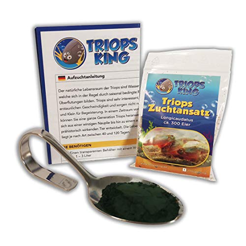 Triops Longicaudatus Urzeitkrebse Starter Set mit ca. 300 Urzeitkrebs-Eiern / Zysten von Triops King aus Deutschland, Anleitung zur Zucht und Jungtier-Futter - Züchte deine eigenen Urzeitkrebse bei dir zu Hause im Aquarium von Triops King