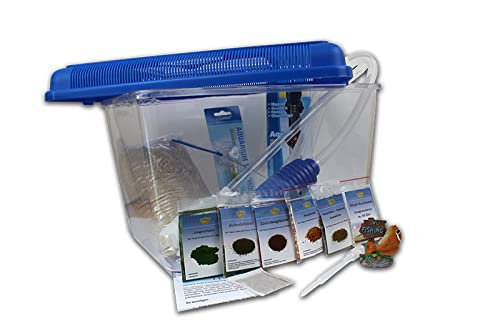 Triops Longicaudatus Urzeitkrebse Komplett Set Advanced III mit 150 Eiern und blauem Deckel von Triops King - Inkl. großen Becken, viel Futter, Aufzuchtanleitung, Sand, Eier Sand Gemisch mit Triopseiern, Thermometer, Kescher und viel Zubehör von Triops King