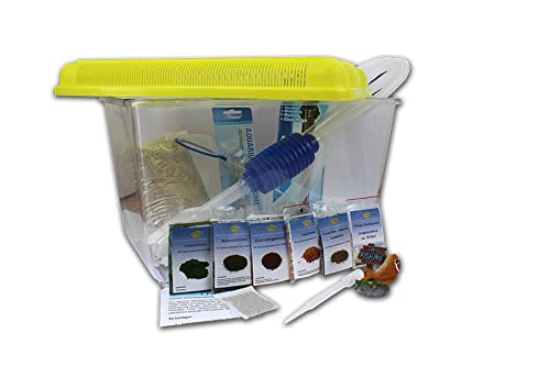 Triops Longicaudatus Urzeitkrebse Komplett Set Advanced III mit 150 Eiern und gelben Deckel von Triops King - Inkl. großen Becken, viel Futter, Aufzuchtanleitung, Sand, Eier Sand Gemisch mit Triopseiern, Thermometer, Kescher und viel Zubehör von Triops King