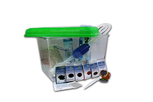 Triops Longicaudatus Urzeitkrebse Komplett Set Advanced III mit 150 Eiern und grünem Deckel von Triops King - Inkl. großen Becken, viel Futter, Aufzuchtanleitung, Sand, Eier Sand Gemisch mit Triopseiern, Thermometer, Kescher und viel Zubehör von Triops King