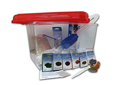 Triops Longicaudatus Urzeitkrebse Komplett Set Advanced III mit 150 Eiern und rotem Deckel von Triops King - Inkl. großen Becken, viel Futter, Aufzuchtanleitung, Sand, Eier Sand Gemisch mit Triopseiern, Thermometer, Kescher und viel Zubehör von Triops King