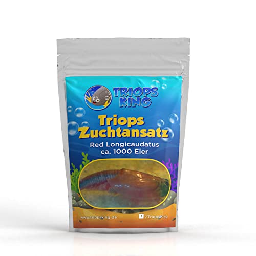 Triops Red Longicaudatus Zuchtansatz 1000 Eier von Triops King