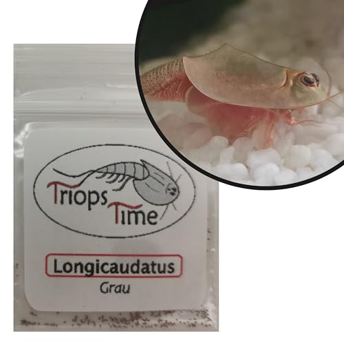 Triops Longicaudatus Grau (Urzeitkrebse) - Eier von Hand abgezählt mit Futter und Anleitung für eine artgerechte Haltung von Triops (300 Eier) von Triops Time