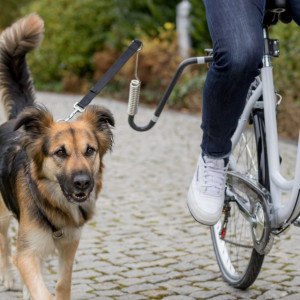 Fahrrad-Set U-Form mit Befestigung an Sattelstange Pro Stück von Trixie