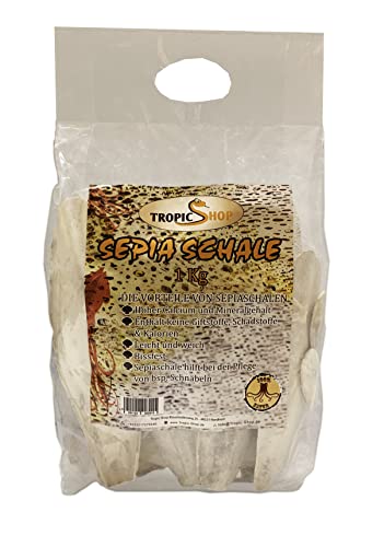 Tropic Shop, 1Kg 12-25cm Große Sepiaschalen Packung, 100% Reine Qualität, Optimale Gesundheitsförderung, Kalziumversorgung, Premium Pflege & Aufbau, Geeignet für Reptilien und Vögel von TropicShop