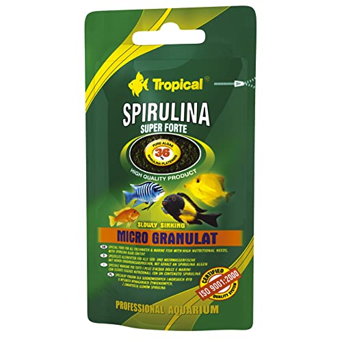 Fischfutter Tropical Super Spirulina Forte Micro Granulat – Fischfutter, Doypack 22 g (2 Stück) von Tropical