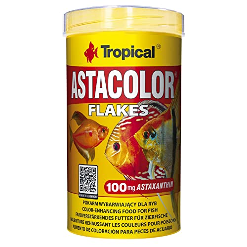 Tropical Astacolor, farbförderndes Flockenfutter, 1er Pack (1 x 500 ml) von Tropical