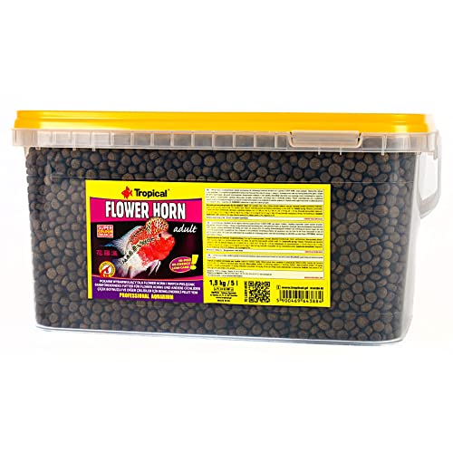 Tropical Flower Horn Adult Pellet 1000 ml (380 g) TUB – Farbverstärkendes Futter für Erwachsene Blumenhörner und andere Erwachsene Buntbarsche (5 l (1,9 kg) Eimer) von Tropical