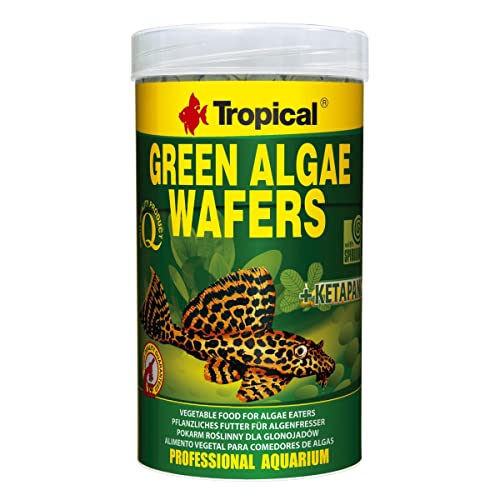 Tropical Green Algae Wafers Welschips, 1er Pack (1 x 250 ml) von Tropical