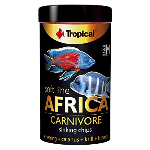 Tropical Soft Line Africa Carnivore, 1er Pack (1 x 52 g) von Tropical