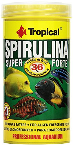 Tropical TR Super Spirulina Forte 36% 250 ml/50 g von Tropical