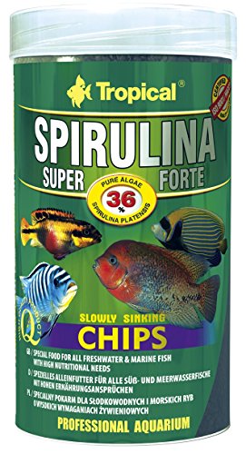 Tropical Super Spirulina Forte Chips mit 36% Spirulina (Platensis) Anteil, 1er Pack (1 x 1 l) von Tropical