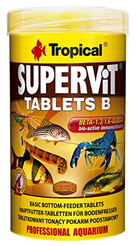 Tropical Supervit Tablets B Hauptfutter Bodentabletten, 1er Pack (1 x 250 ml) von Tropical