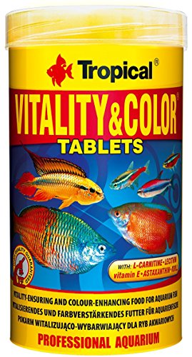 Tropical Vitality und Color Tablets farbfördernde Haftfuttertabletten, 1er Pack (1 x 250 ml) von Tropical