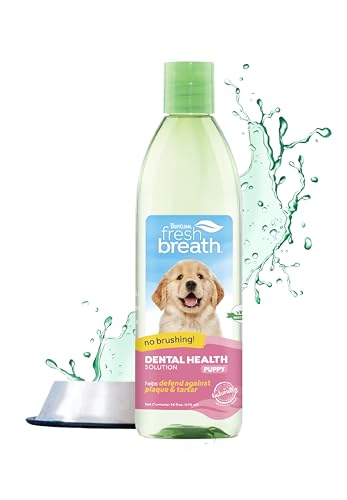 TropiClean Fresh Breath Welpenzahnreinigung - Zahnpflegelösung bei schlechtem Atem - Mundspülung als Zusatz zum Trinkwasser - Reinigt die Zähne, Für Welpen, 473ml von Tropiclean