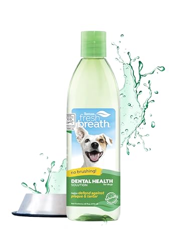 TropiClean Fresh Breath Hundezahnreinigung - Zahnpflegelösung gegen Mundgeruch - Mundwasser als Zusatz zum Trinkwasser Original, 473ml von Tropiclean