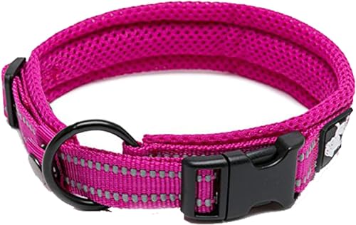 Truelove Hundehalsband, reflektierend, Premium-Duraflex-Schnalle, hochwertiges Nylon-Gurtband, kein Würgen, Basic Halsbänder TLC5011 (Fushcia, M) von Truelove