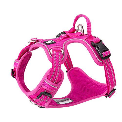 Truelove True Love Hundegeschirr, kein Ziehen, verstellbar, reflektierend, weiches Nylon, für kleine und große Haustiere, TLH56512 (L, Fuchsia) von Truelove