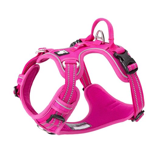 Truelove True Love Hundegeschirr, kein Ziehen, verstellbar, reflektierend, weiches Nylon, für kleine und große Haustiere, TLH56512 (M, Fuchsia) von Truelove