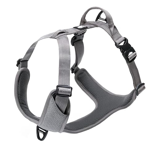 TRUE LOVE Hundegeschirr Outdoor Adventure II Reflektierende Weste mit 2 Leinenbefestigungen passende Leine und Halsband erhältlich TLH6071 von Truelove