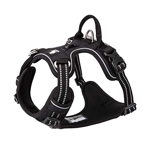 Truelove True Love Hundegeschirr, kein Ziehen, verstellbar, reflektierend, weiches Nylon, für kleine und große Haustiere, TLH56512 (M, schwarz) von Truelove