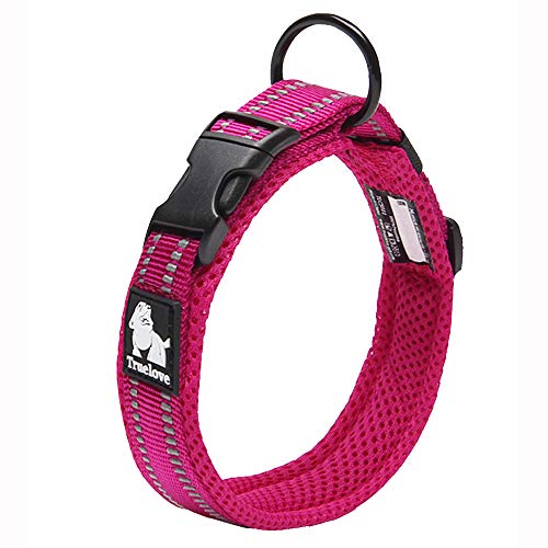 Truelove Hundehalsband, reflektierend, Premium-Duraflex-Schnalle, hochwertiges Nylon-Gurtband, kein Würgen, Basic Halsbänder TLC5011 (Fushcia, L) von Truelove