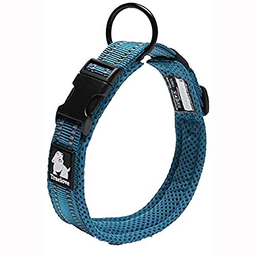 Hundehalsband, reflektierend, Premium-Duraflex-Schnalle, hochwertiges Nylon-Gurtband, kein Würgen, grundlegende Halsbänder, Truelove TLC5011 (blau, L) von Truelove