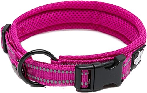 True Love Hundetrainingshalsband TLC5011 Reflektierende Hundehalsbänder (S, Fushcia) von Truelove