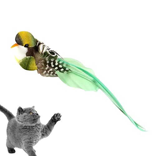 Truejoy Cat Bird Toy,Cat Feather Bird Bell Toys Replacement Cat Toy Wand Refills - Cat Bird Toy Interactive Cat Teaser Wand Attachments for Cats Kitten Play Chase Exercise von Truejoy