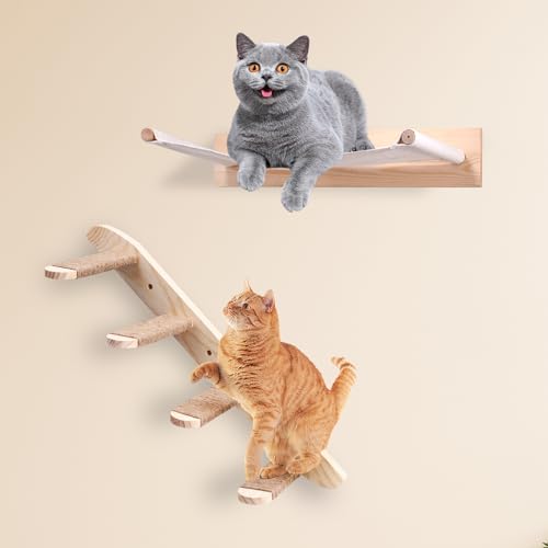 Kletterwand Katze, Katzenkletterbrett und Katzenhängematte, Kletterwand Set 2-Teilig für die meisten Kätzchen, mittlere und große Katzen von Tseipoaoi
