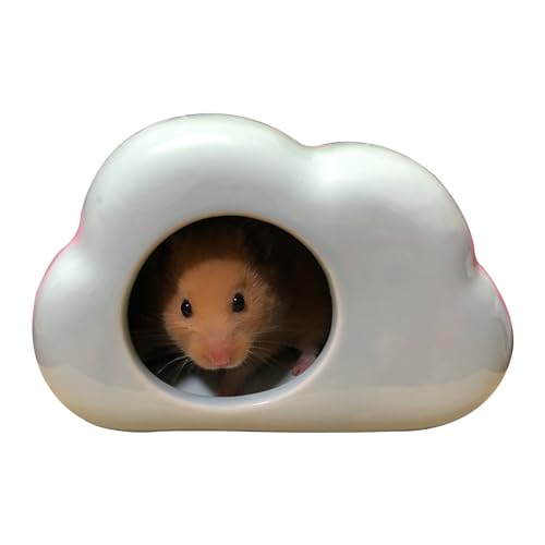 Tsnamay Keramik-Hamsterversteck für kleine Haustiere, 16,4 cm, Blau von Tsnamay