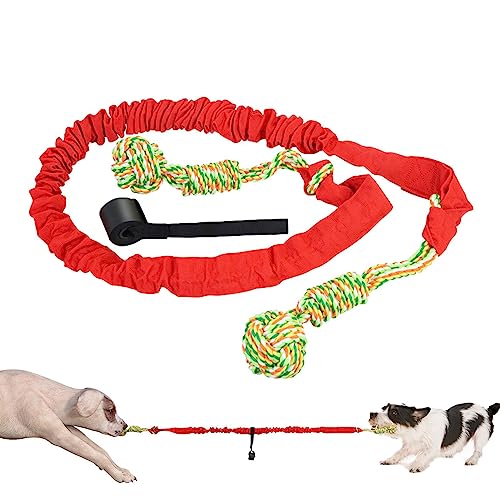 Tsuchiya Hundespielzeug aus Seil, Robustes Zahnreinigungs-Kauspielzeug, Interaktives Tauziehen gegen Langeweile, Hundespielzeug für Aggressive Kauer, mittelgroße und große Hunde von Tsuchiya