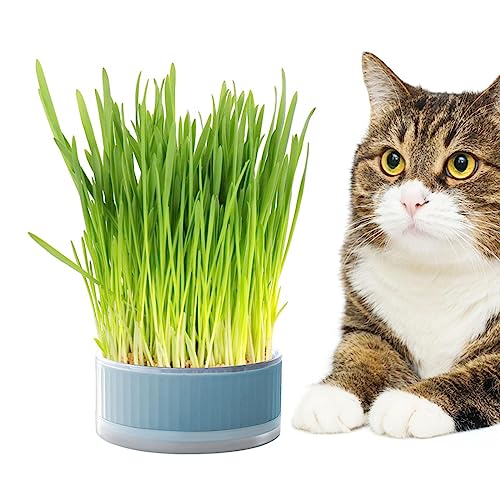 Tsuchiya Katzengras Keimschalen | Abnehmbare Pflanzenzuchtset Hydroponisches Katzengras | Pflanzer Hydroponics Seed Sprouter | Samen Keimung Tablett Für Katzen, Hunde von Tsuchiya